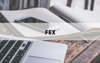FEX(fexdex)