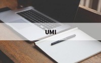 UMI(umi什么意思)