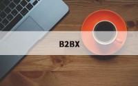 B2BX(B2bXt)