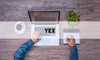 YEX(野性的呼唤)