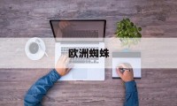 欧洲蜘蛛(欧洲蜘蛛种类)