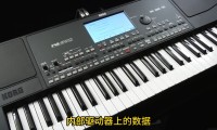 Korbit(korbit业内中文叫法)