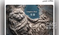 伊朗外交部发言人发帖：十万鼠辈不敢向猫投去一瞥