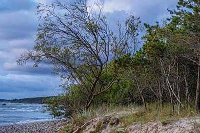 币安NFT(币安能提出来吗)