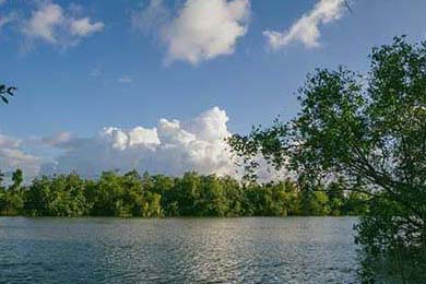 今日镁锭价格行情及镁盐产品应用分析