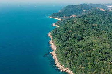 今日钴回收价格行情分析