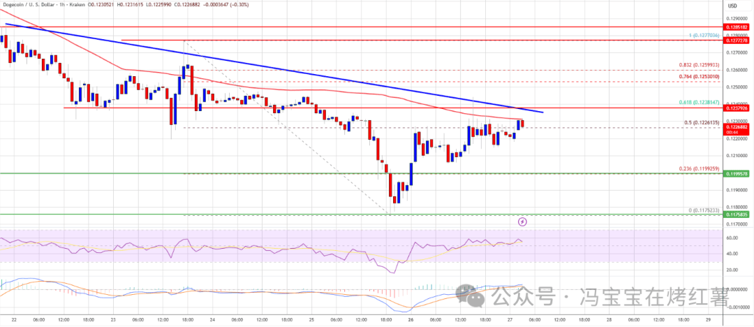 狗狗币(DOGE)最新走势:突破0.12美元后遇阻,下一步看涨还是回调?