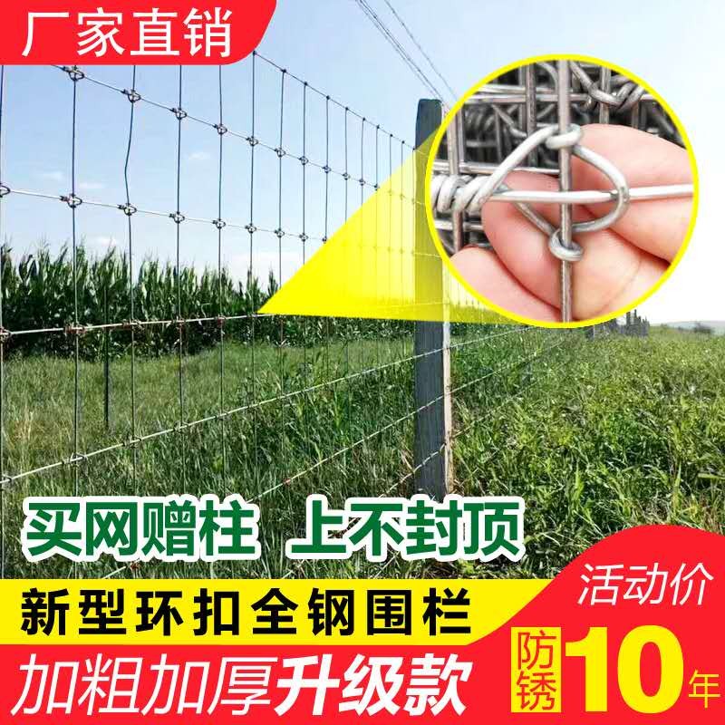 Q网(q网络用词是什么意思)