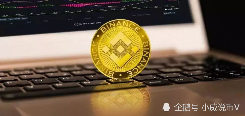 币安交易所的币安币(币安交易所的币如何转到tp钱包)