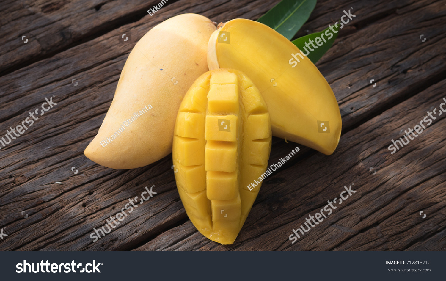 MangoPro(mangoparty) MangoPro(mangoparty)