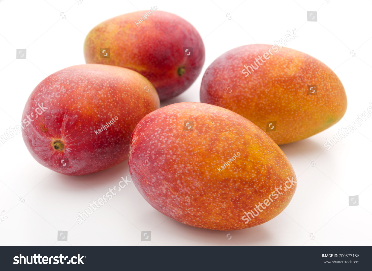 MangoPro(mangoparty) MangoPro(mangoparty)