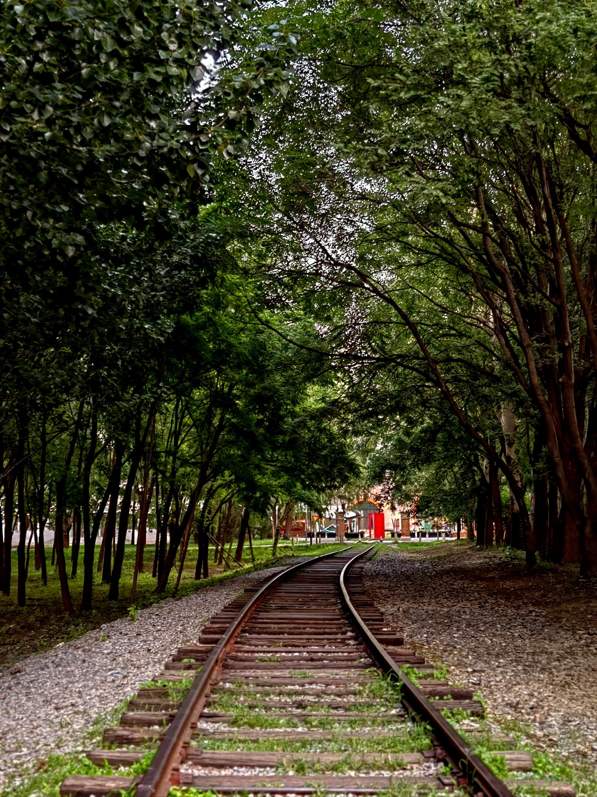 BMEX(bmex是什么交易所) BMEX(bmex是什么交易所)