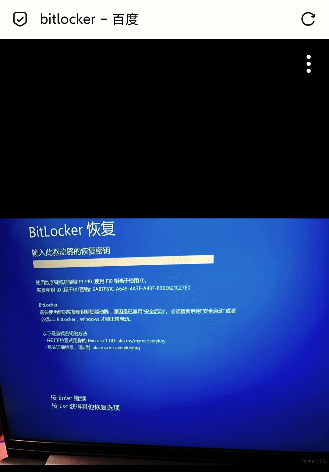 BitFly(Bitflyer札幌地址) BitFly(Bitflyer札幌地址)