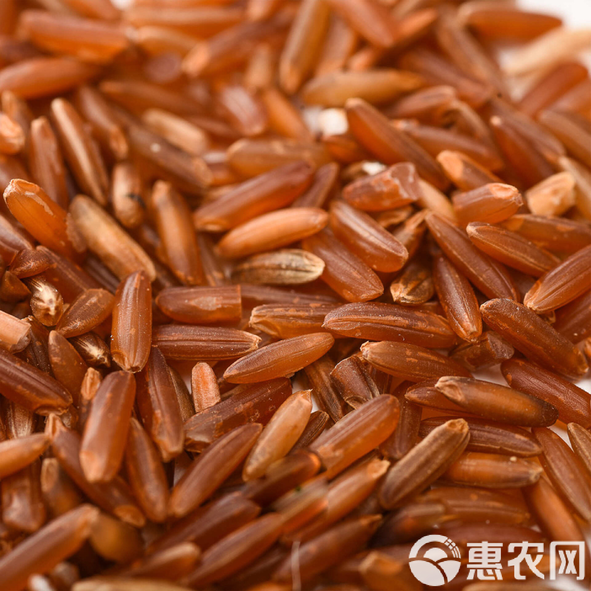 红米(红米k80至尊版) 红米(红米k80至尊版)