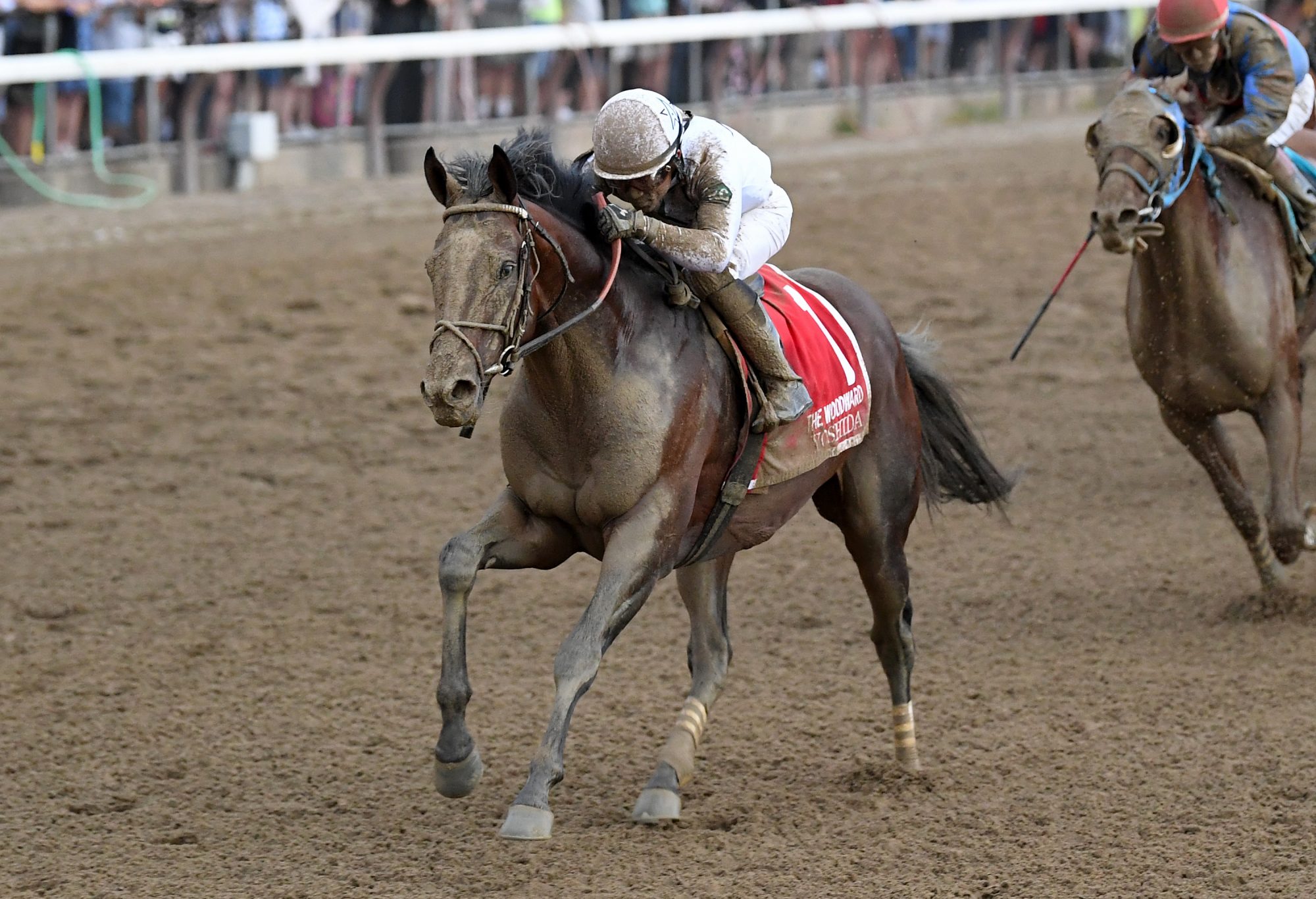 Kuna(苦难是文学的温床) Kuna(苦难是文学的温床)