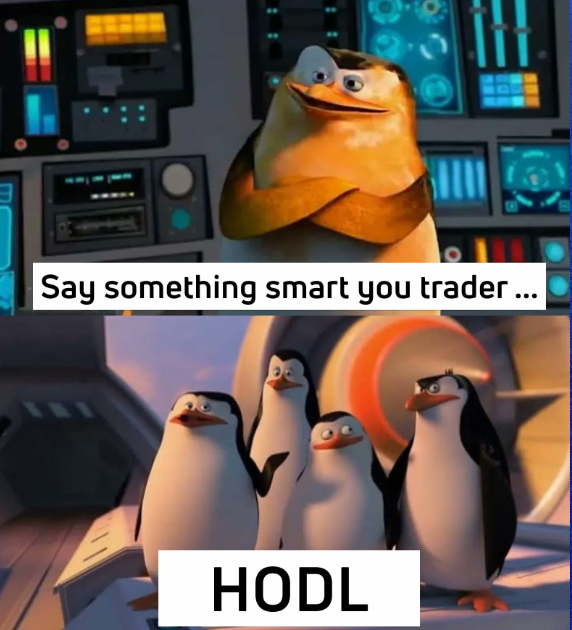 BKEX(本科二学位是什么意思)