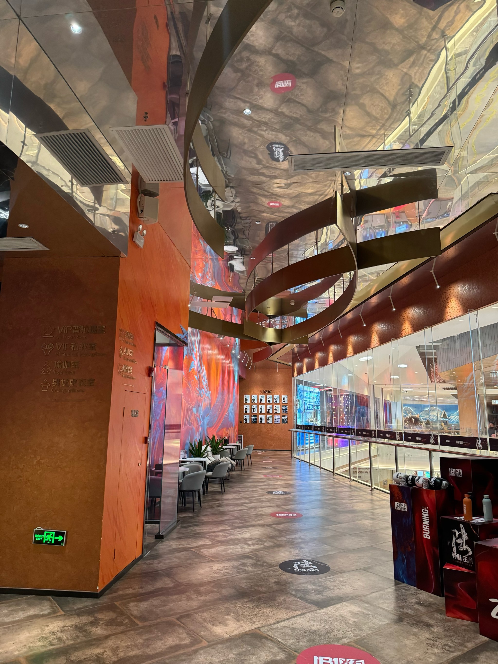 RSDT(榕树的图片)