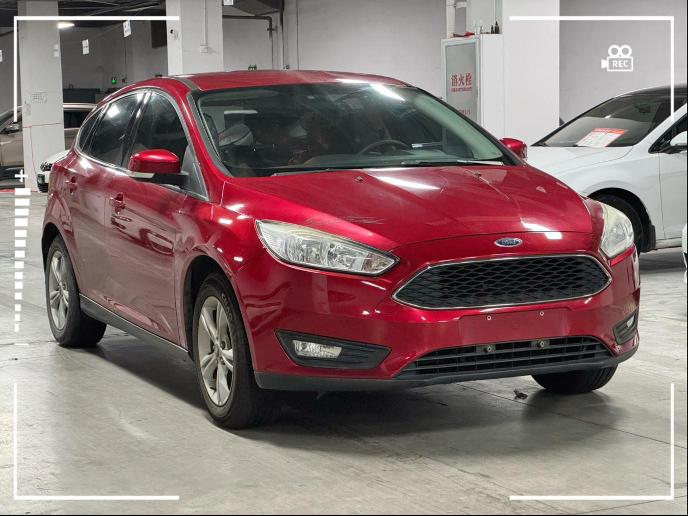 福克斯(福克斯零容忍原版在线观看)