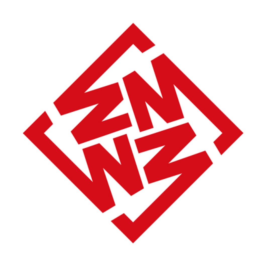 ZNN(znn是什么意思)