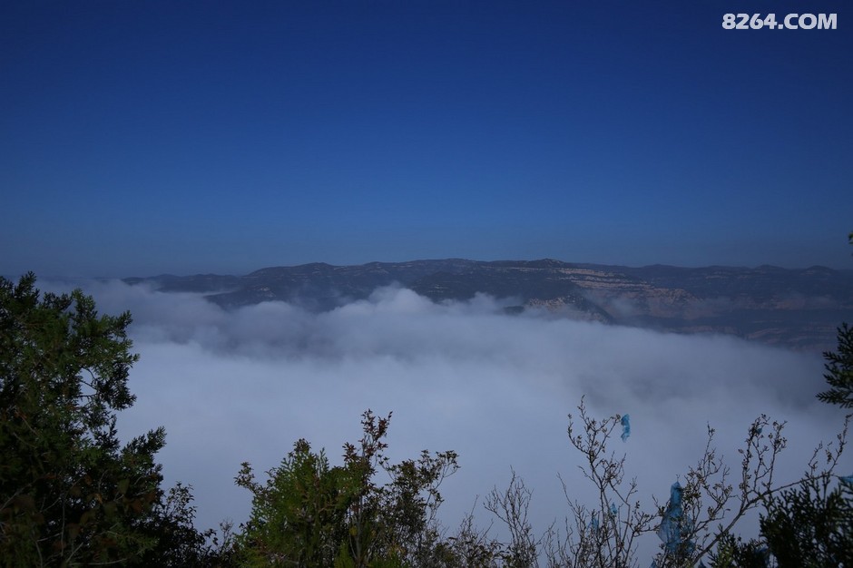 龙阁(合肥信地藏龙阁) 龙阁(合肥信地藏龙阁)