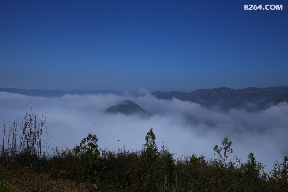 龙阁(合肥信地藏龙阁) 龙阁(合肥信地藏龙阁)