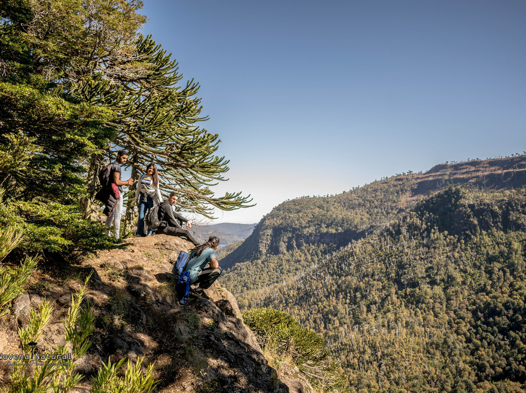 Paribu(Paribu交易所官网) Paribu(Paribu交易所官网)