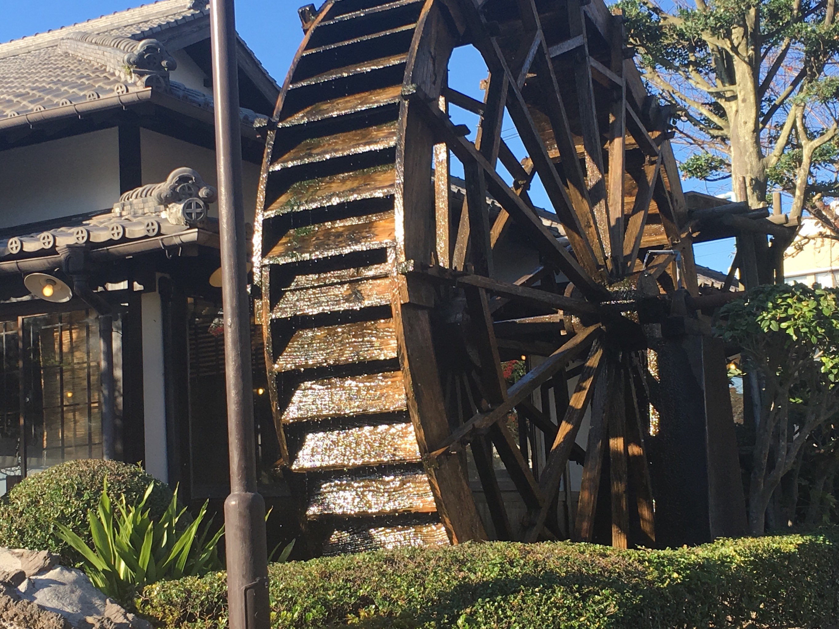 RSDT(人设的通俗理解)