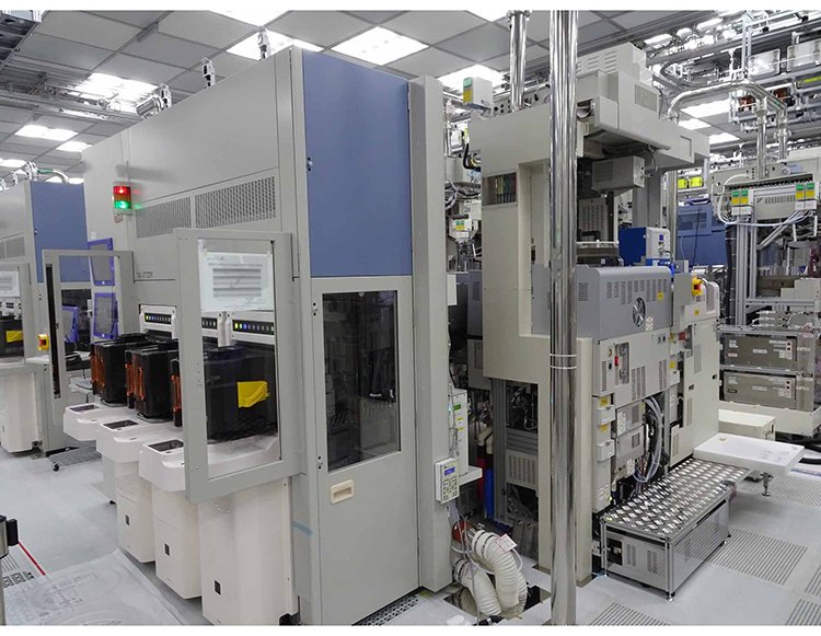 RSDT(榕树的特点) RSDT(榕树的特点)