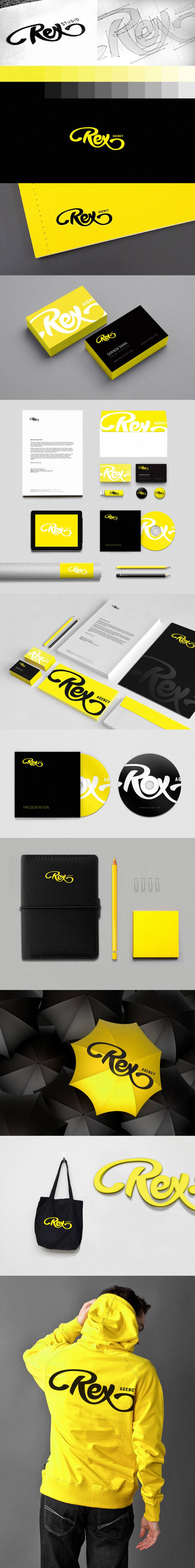 Rootrex(ROOTREX机械增压器使用教程视频)