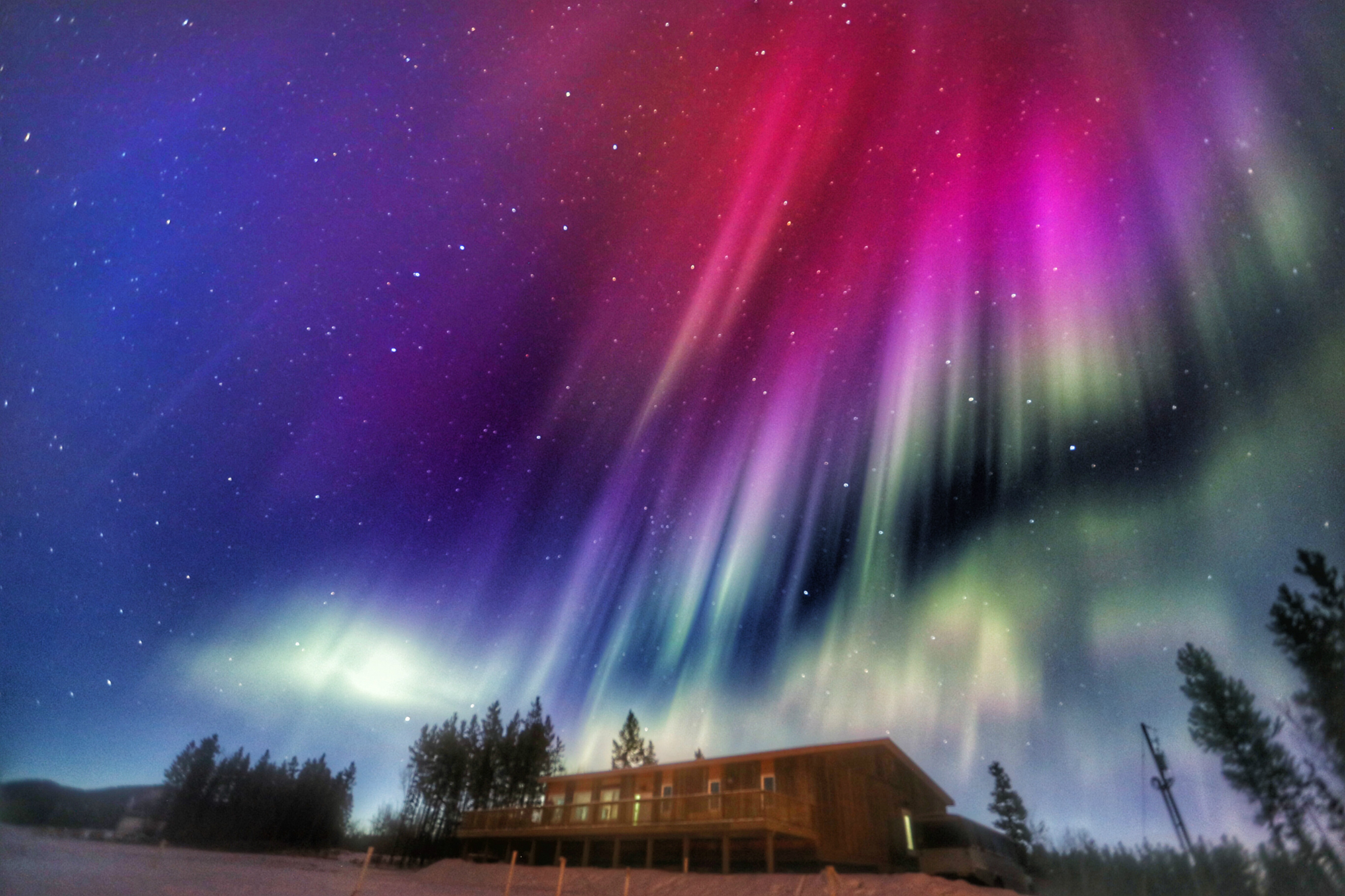 LongBit(癃闭通胶囊的作用与功效)