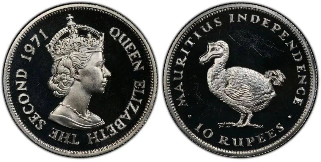 币诺(比特币合约骗局)