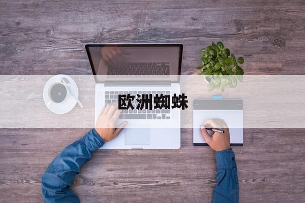 欧洲蜘蛛(欧洲蜘蛛种类)