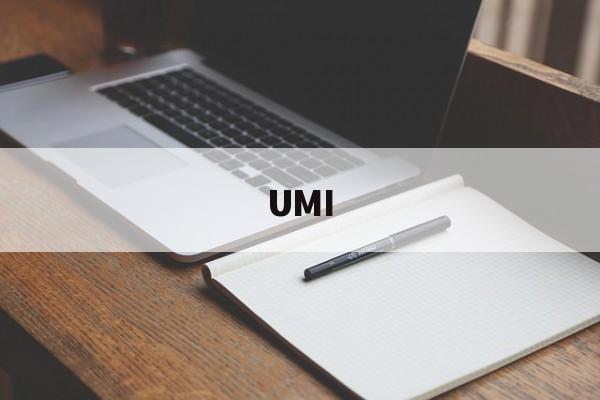 UMI(umi什么意思)