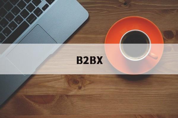 B2BX(B2bXt) B2BX(B2bXt)