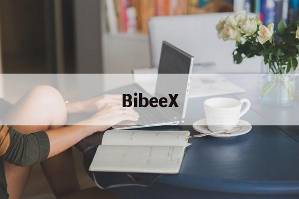 BibeeX(bibelot)